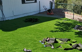 Landscaping blog
