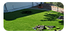 client-logo