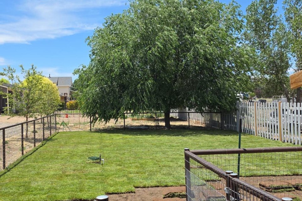 Our Landscaping Portfolio
